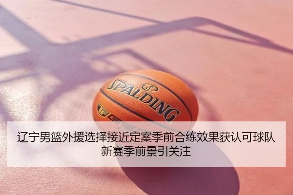 辽宁男篮外援选择接近定案季前合练效果获认可球队新赛季前景引关注